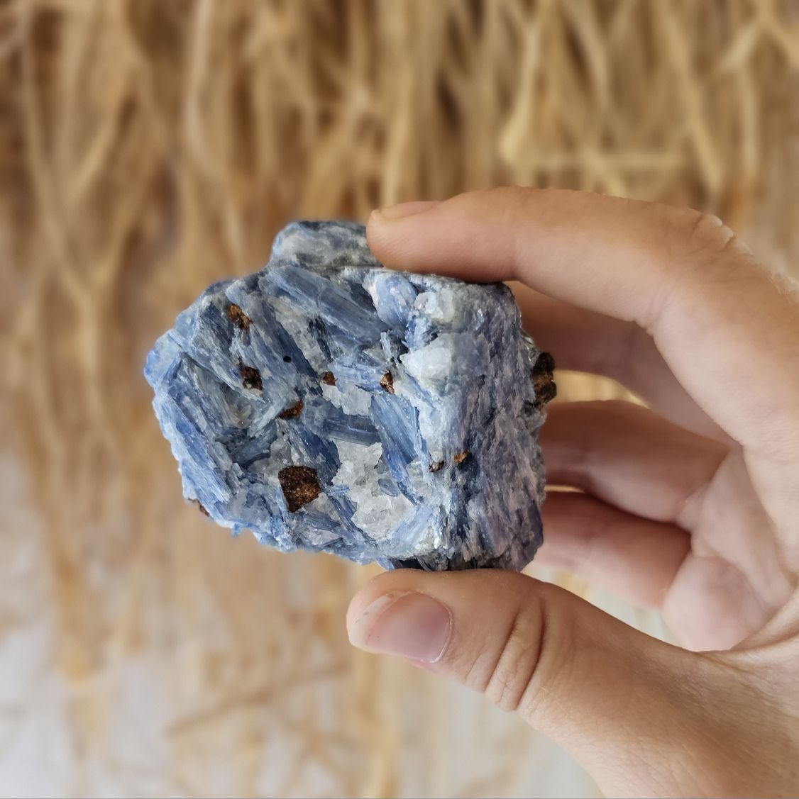 20240903_145659_compress30